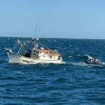 uruguay-pierde-us$-4-millones-anuales-por-pesca-ilegal-brasilena-en-aguas-jurisdiccionales