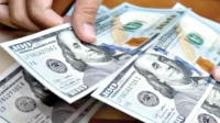 el-dolar-se-mantiene-en-bs-11,70