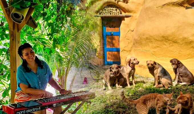 famosa-finca-busca-hasta-3-voluntarios-que-hablen-espanol-o-ingles-para-vivir-gratis-en-puerto-rico:-trabajarian-20-horas-semanales-por-4-semanas
