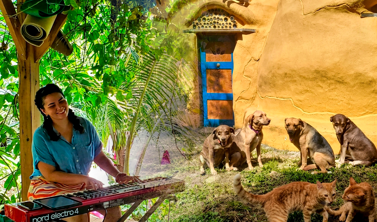 famosa-finca-busca-hasta-3-voluntarios-que-hablen-espanol-o-ingles-para-vivir-gratis-en-puerto-rico:-trabajarian-20-horas-semanales-por-4-semanas
