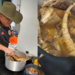 denuncian-que-un-funcionario-de-la-ant-habria-cocinado-un-armadillo,-especie-silvestre-protegida;-piden-intervencion-del-gobierno