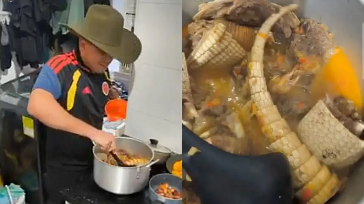 denuncian-que-un-funcionario-de-la-ant-habria-cocinado-un-armadillo,-especie-silvestre-protegida;-piden-intervencion-del-gobierno