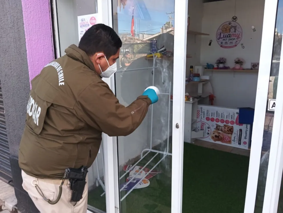 robos-a-una-joyeria-y-una-tienda-veterinaria:-los-dos-delitos-que-investiga-labocar-en-la-serena