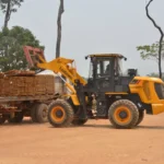 exportaciones-forestales-caen-34%-hasta-agosto-e-importaciones-crecen