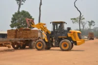 exportaciones-forestales-caen-34%-hasta-agosto-e-importaciones-crecen