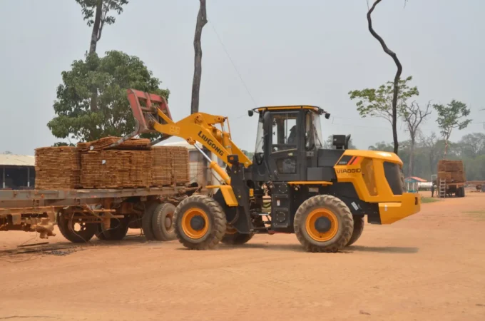 exportaciones-forestales-caen-34%-hasta-agosto-e-importaciones-crecen