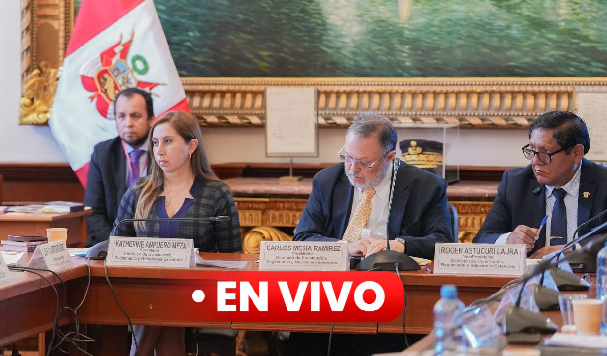 comision-de-constitucion-en-vivo:-senadores-discuten-dictamen-de-delegacion-de-facultades
