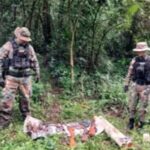 desmantelan-un-campamento-de-caza-clandestino-con-armas-y-animales-muertos-en-el-monte-misionero