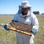 fao-eligio-a-maria-laura-rodriguez,-apicultora-uruguaya,-como-una-de-100-heroinas