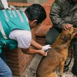 santa-cruz:-buscan-vacunar-contra-la-rabia-a-cerca-del-millon-de-mascotas-el-24-y-25-de-octubre