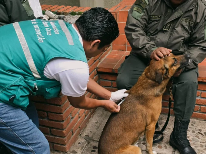 santa-cruz:-buscan-vacunar-contra-la-rabia-a-cerca-del-millon-de-mascotas-el-24-y-25-de-octubre