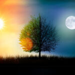 the-darkness-will-bring-more-light