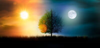 the-darkness-will-bring-more-light