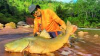 cinco-dias-entre-los-colosos-peces-de-bolivia