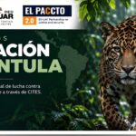 operacion-tarantula:-policia-recibe-reconocimiento-internacional