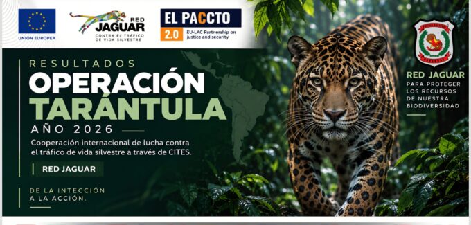 operacion-tarantula:-policia-recibe-reconocimiento-internacional