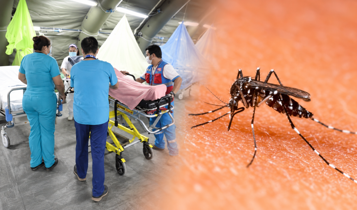 ¡cuidado!-minsa-alerta-que-automedicarse-con-doxiciclina-por-dengue-puede-poner-en-riesgo-la-vida