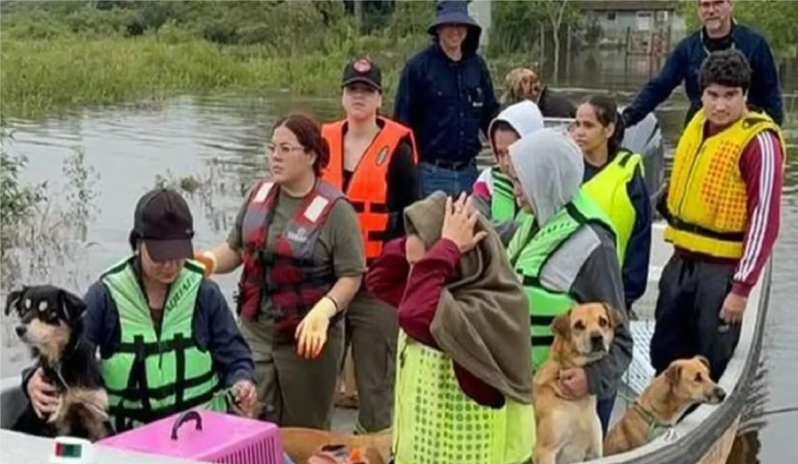 rescatan-a-mascotas-de-las-inundaciones-en-paraguay
