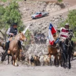 cabalgata,-majadas-y-carreras-de-mulas-marcaron-la-fiesta-de-la-trashumancia-en-piedras-bonitas