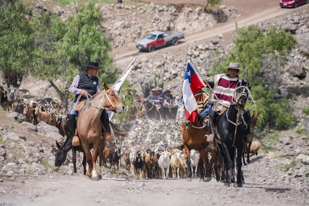 cabalgata,-majadas-y-carreras-de-mulas-marcaron-la-fiesta-de-la-trashumancia-en-piedras-bonitas