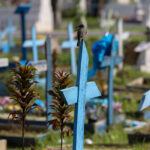 o-que-aprendi-obituando-dezenas-de-vitimas-de-coronavirus