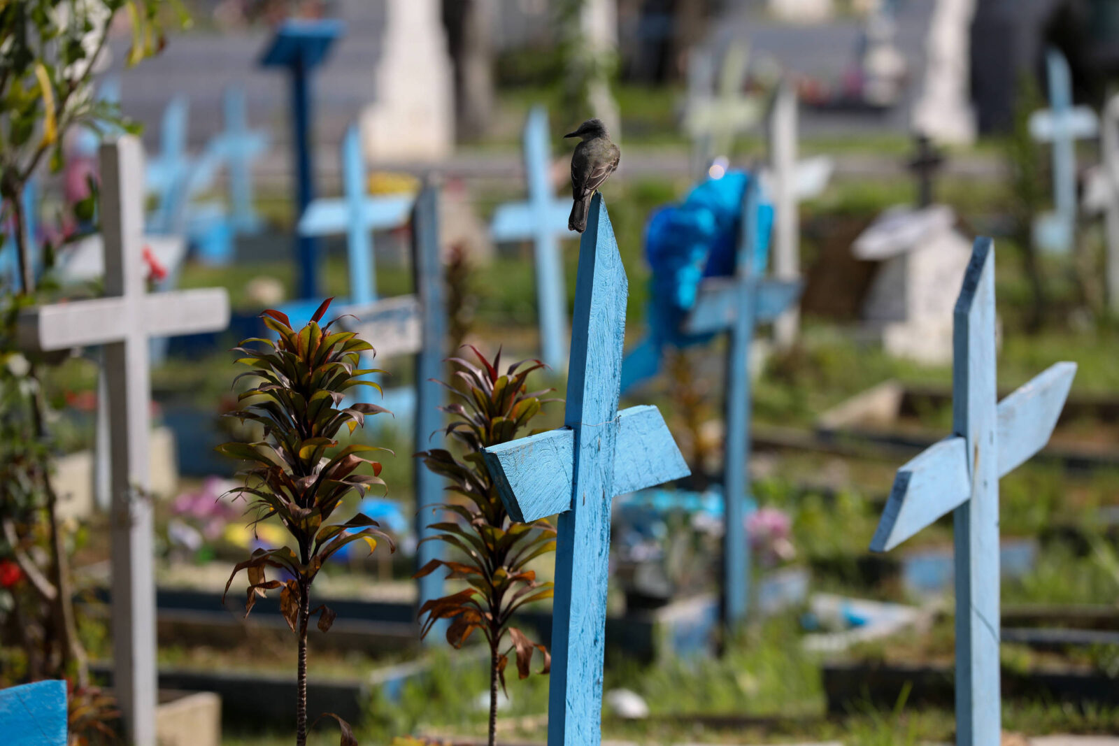 o-que-aprendi-obituando-dezenas-de-vitimas-de-coronavirus