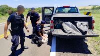el-narco-colado-en-el-sistema-de-justicia
