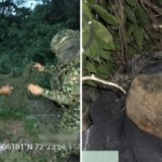 el-ejercito-frustra-un-atentado-del-eln-contra-la-via-ferrea-de-el-cerrejon-en-la-guajira:-desactivo-un-explosivo-en-una-zona-del-municipio-de-maicao