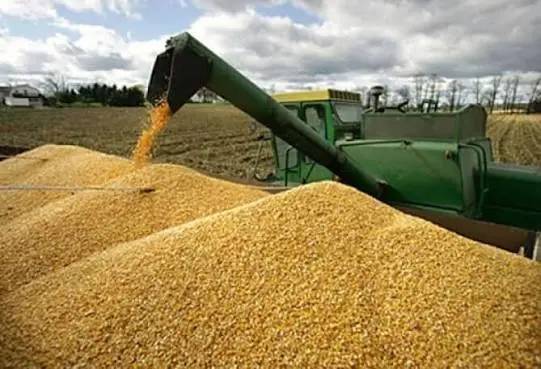 estiman-producir-700.000-toneladas-de-soya-en-siembra-de-invierno