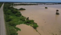 san-pedro-reporta-17.000-hectareas-inundadas-y-civicos-piden-recursos-para-el-searpi