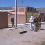 cochabamba:-investigan-la-muerte-de-cuatro-perros-en-un-barrio