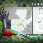 nuevo-estudio-sobre-la-actividad-sonora-del-quetzal-podria-ayudar-a-mejorar-la-conservacion-de-su-habitat