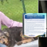 a-un-adulto-mayor-le-negaron-subirse-a-un-bus-con-su-perro-en-el-santuario,-antioquia;-empresa-se-pronuncio-y-ofrecio-disculpas