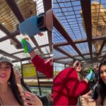 (video)-¡dionoguarde!-un-leon-estuvo-sobre-laurys-dyva