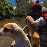(video)-¡valechos-ya-salvaron-mas-de-mil-animalitos-de-las-inundaciones!