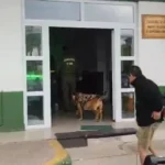 dijeron-que-realizaban-un-flete:-cuatro-detenidos-tras-ser-sorprendidos-robando-en-ovalle