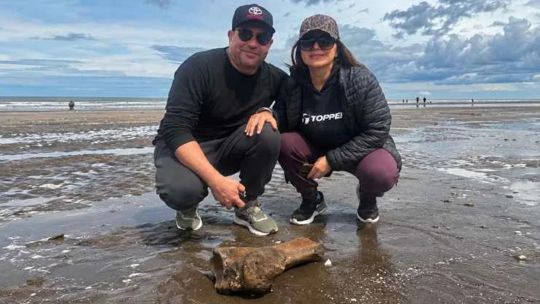 dos-vecinos-encuentran-por-casualidad-un-fosil-de-metaterio-en-una-playa-de-monte-hermoso