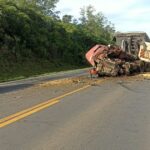 colisao-frontal-entre-carretas-mata-motorista-e-bloqueia-a-br-277-no-pr