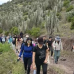 mas-de-300-personas-recorrieron-el-cerro-la-cruz-en-jornada-de-trekking-familiar