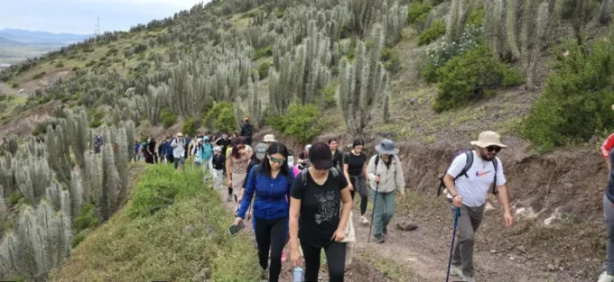 mas-de-300-personas-recorrieron-el-cerro-la-cruz-en-jornada-de-trekking-familiar
