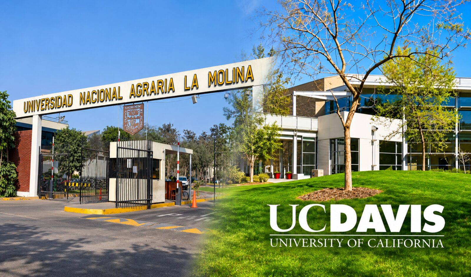 oportunidades-de-pasantias-en-ee-uu.:-universidad-agraria-la-molina-y-la-universidad-de-califormnia-davis-coordinan-programas-de-intercambio