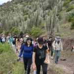 mas-de-300-personas-disfrutaron-de-la-jornada-de-trekking-familiar-en-el-cerro-la-cruz