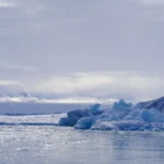 microplasticos-y-calor-extremo-alteran-genes-de-peces-antarticos-en-24-horas