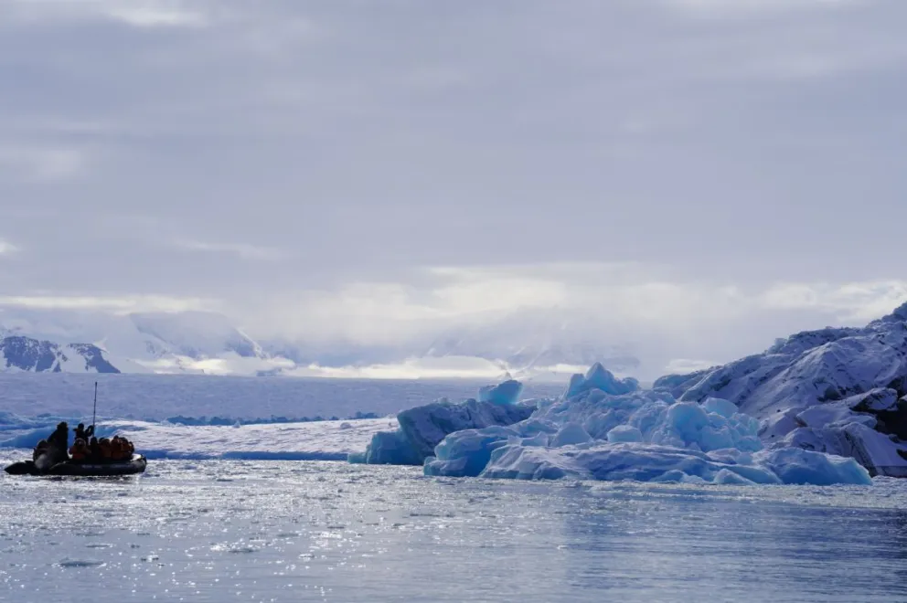 microplasticos-y-calor-extremo-alteran-genes-de-peces-antarticos-en-24-horas