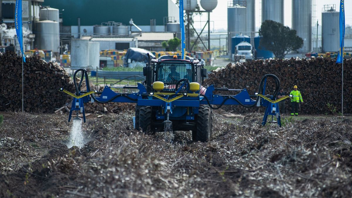 uruguay-es-un-destino-estrategico-y-competitivo-para-la-inversion-en-el-sector-forestal