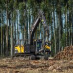 juan-lacaze,-esta-semana-y-durante-cuatro-dias,-sede-de-la-gran-vidriera-del-uruguay-forestal