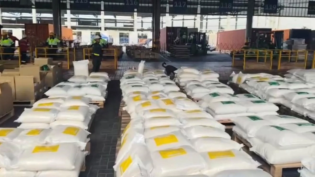 van-25-toneladas-de-cocaina-incautadas-en-el-puerto-de-cartagena-en-lo-que-va-del-ano:-solo-en-las-ultimas-horas-cayo-un-cargamento-con-7,6-toneladas