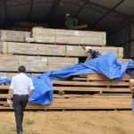 juez-chileno-ordena-suspender-quema-de-madera-boliviana-y-realizar-nueva-pericia