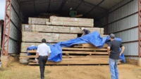 juez-chileno-ordena-suspender-quema-de-madera-boliviana-y-realizar-nueva-pericia