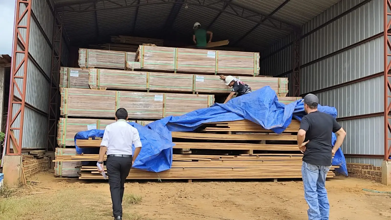 juez-chileno-ordena-suspender-quema-de-madera-boliviana-y-realizar-nueva-pericia